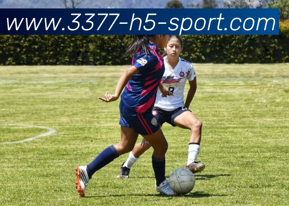 3377体育平台生态图