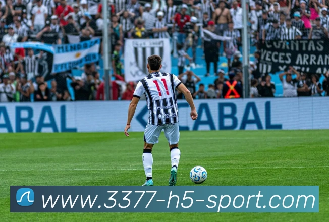 3377体育APP 封面图